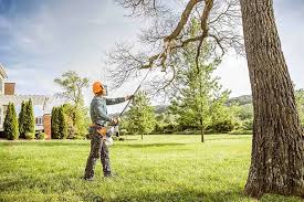  Dayton, VA Tree Removal Pros